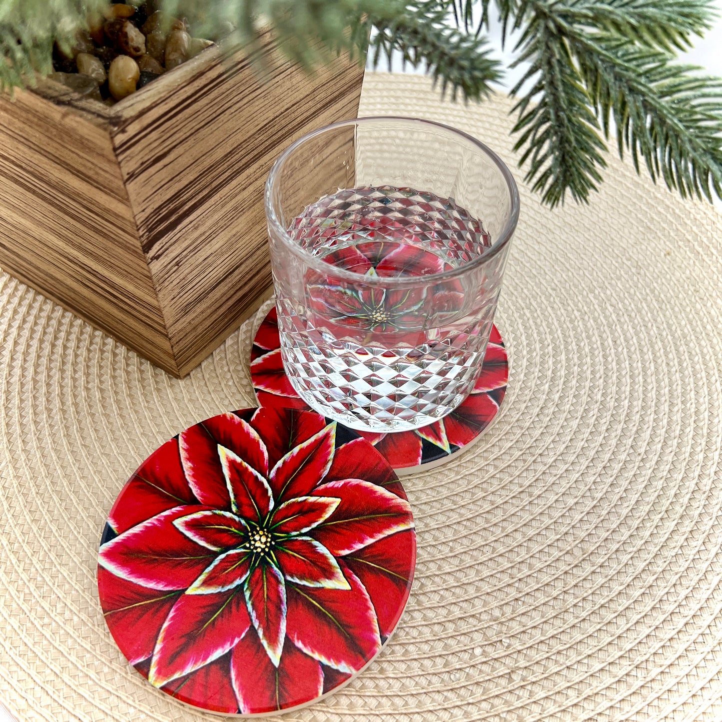 Absorbent Coasters